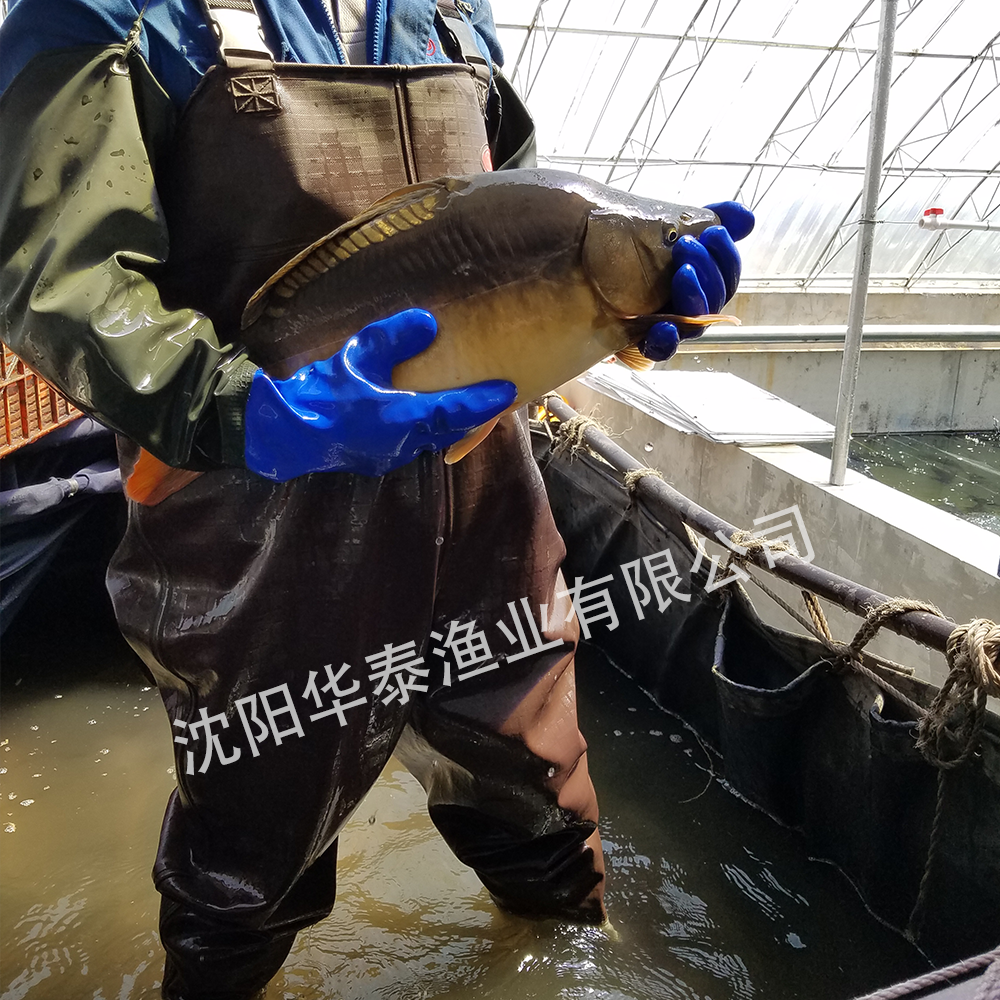&#33521;&#22269;&#19978;&#24066;&#20844;&#21496;&#23448;&#32593;&#51;&#54;&#53;&#40;&#20013;&#22269;&#41;&#32929;&#20221;&#26377;&#38480;&#20844;&#21496;